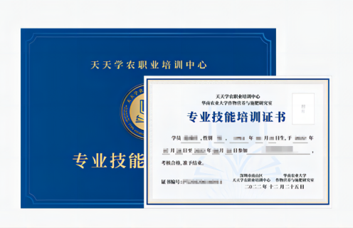 J9国际站登录专业技能培训证书