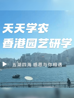 与香港园艺学会联合举办香港园艺研学，专业园境师带队讲解。