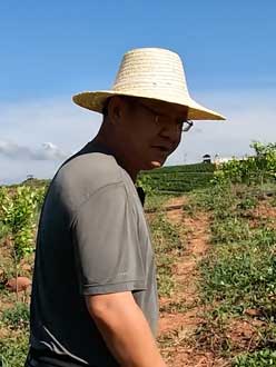 农业人叶涛，50多岁通讯人跨界搞农业，他要用1000万打造一个梦。